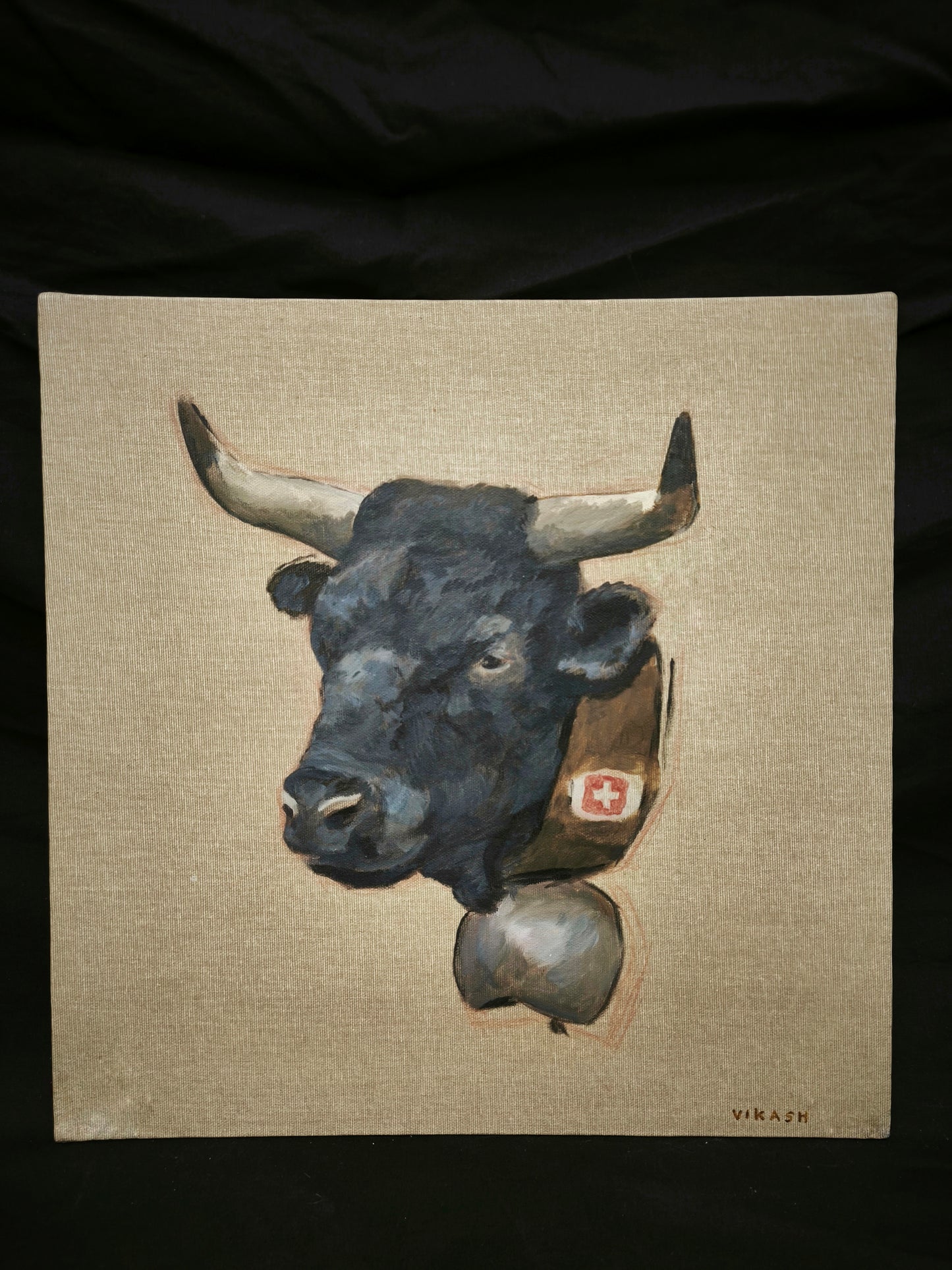 Vache D'Hérens